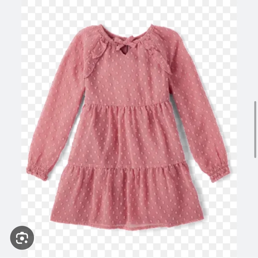 Gymboree Dusty Rose Long-Sleeve Dress